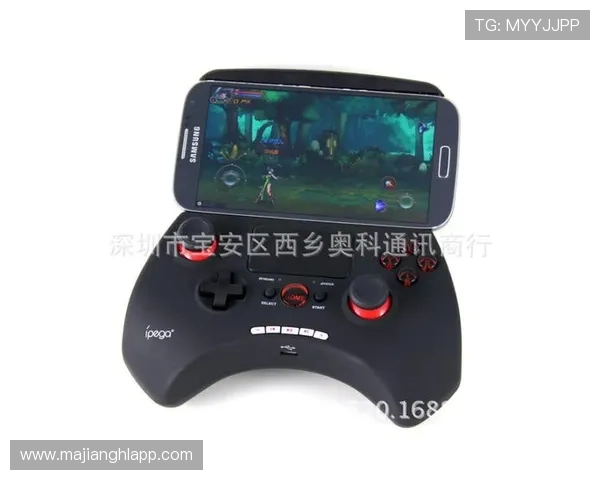 PG电子正版入口官方平台，提供丰富游戏资源和优质客户服务体验